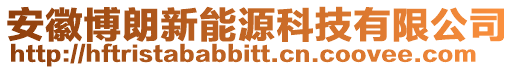 安徽博朗新能源科技有限公司