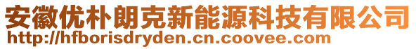 安徽優樸朗克新能源科技有限公司