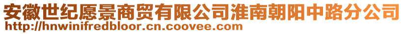 安徽世紀(jì)愿景商貿(mào)有限公司淮南朝陽中路分公司
