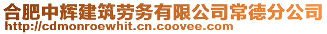 合肥中輝建筑勞務(wù)有限公司常德分公司