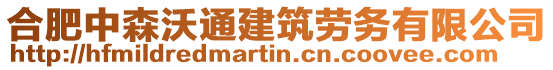 合肥中森沃通建筑勞務(wù)有限公司