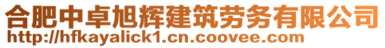 合肥中卓旭輝建筑勞務有限公司