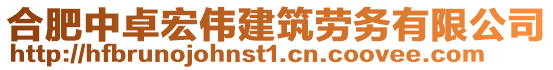 合肥中卓宏偉建筑勞務有限公司