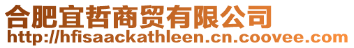 合肥宜哲商貿有限公司