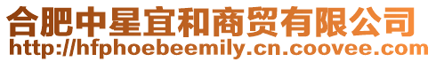 合肥中星宜和商貿有限公司