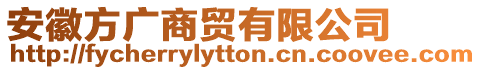 安徽方廣商貿有限公司
