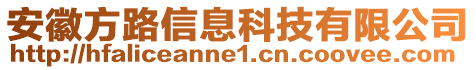 安徽方路信息科技有限公司