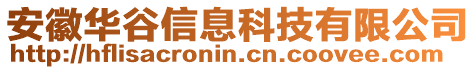 安徽華谷信息科技有限公司