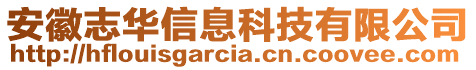 安徽志華信息科技有限公司