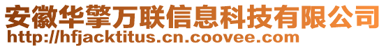 安徽華擎萬(wàn)聯(lián)信息科技有限公司