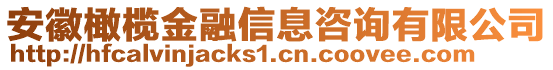 安徽橄欖金融信息咨詢(xún)有限公司