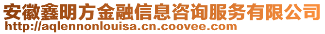 安徽鑫明方金融信息咨询服务有限公司