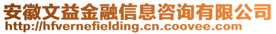 安徽文益金融信息咨詢有限公司