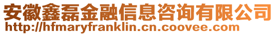 安徽鑫磊金融信息咨詢有限公司