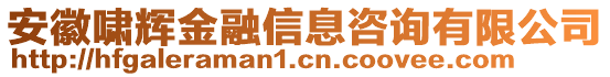 安徽嘯輝金融信息咨詢有限公司