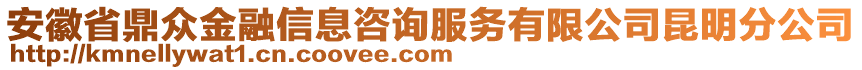 安徽省鼎眾金融信息咨詢服務(wù)有限公司昆明分公司