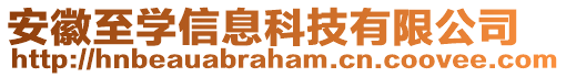 安徽至學(xué)信息科技有限公司