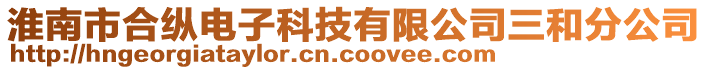 淮南市合纵电子科技有限公司三和分公司