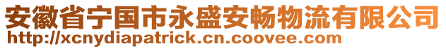 安徽省宁国市永盛安畅物流有限公司