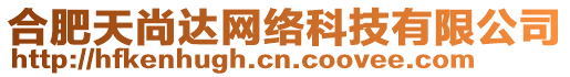 合肥天尚達(dá)網(wǎng)絡(luò)科技有限公司