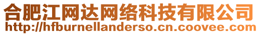 合肥江網(wǎng)達(dá)網(wǎng)絡(luò)科技有限公司