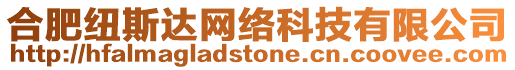 合肥紐斯達(dá)網(wǎng)絡(luò)科技有限公司
