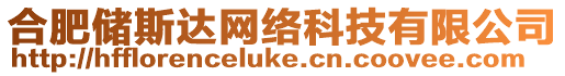 合肥儲斯達網絡科技有限公司