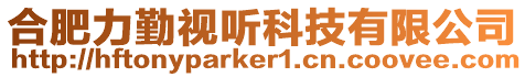 合肥力勤視聽科技有限公司