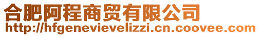 合肥阿程商貿(mào)有限公司