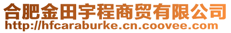 合肥金田宇程商貿(mào)有限公司