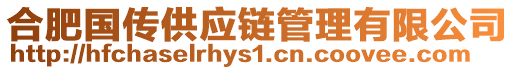 合肥國傳供應(yīng)鏈管理有限公司