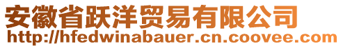 安徽省躍洋貿(mào)易有限公司