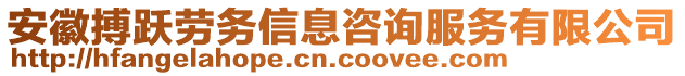 安徽搏躍勞務(wù)信息咨詢服務(wù)有限公司