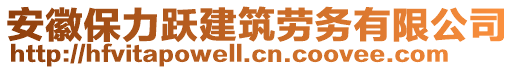 安徽保力躍建筑勞務(wù)有限公司