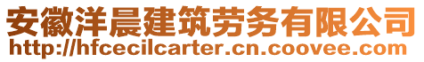 安徽洋晨建筑勞務(wù)有限公司