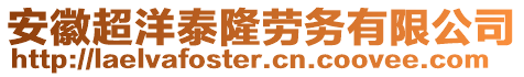 安徽超洋泰隆勞務有限公司