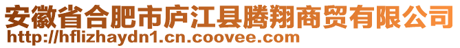 安徽省合肥市廬江縣騰翔商貿有限公司