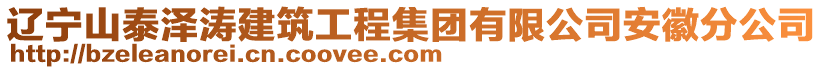 遼寧山泰澤濤建筑工程集團(tuán)有限公司安徽分公司