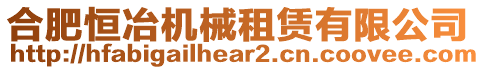 合肥恒冶機械租賃有限公司