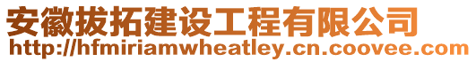 安徽拔拓建設工程有限公司