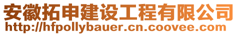 安徽拓申建設工程有限公司