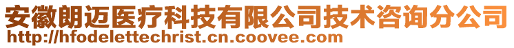 安徽朗邁醫(yī)療科技有限公司技術(shù)咨詢分公司