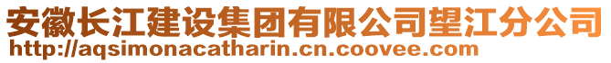 安徽長江建設(shè)集團(tuán)有限公司望江分公司