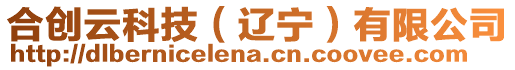 合創云科技(遼寧)有限公司