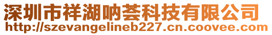 深圳市祥湖吶薈科技有限公司