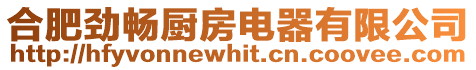 合肥勁暢廚房電器有限公司