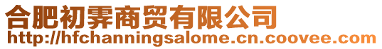 合肥初霽商貿有限公司