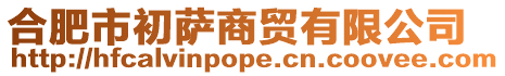 合肥市初薩商貿有限公司