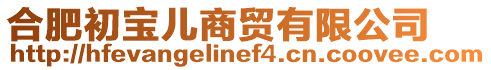 合肥初寶兒商貿有限公司
