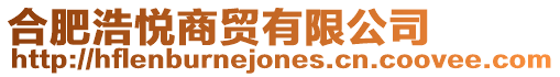 合肥浩悅商貿有限公司